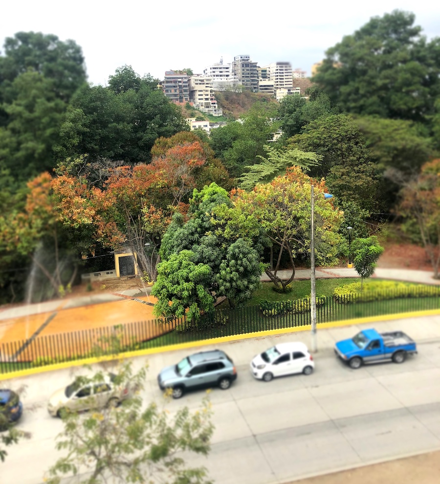 vista-parque